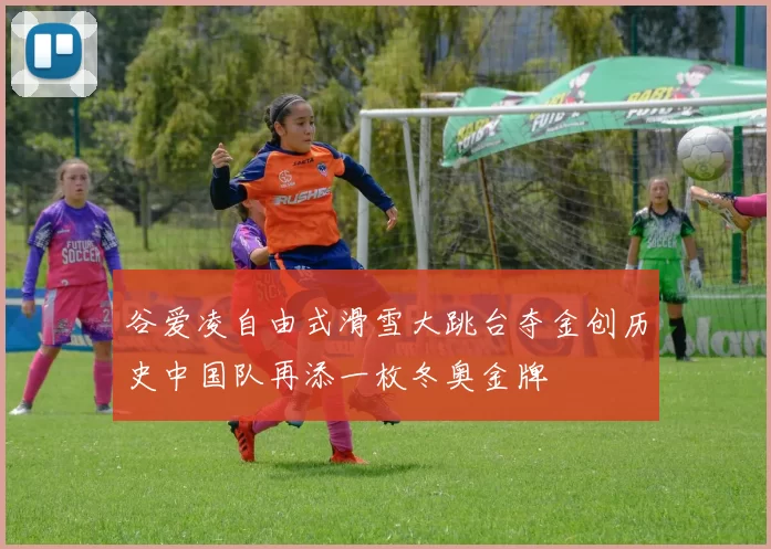 谷爱凌自由式滑雪大跳台夺金创历史中国队再添一枚冬奥金牌