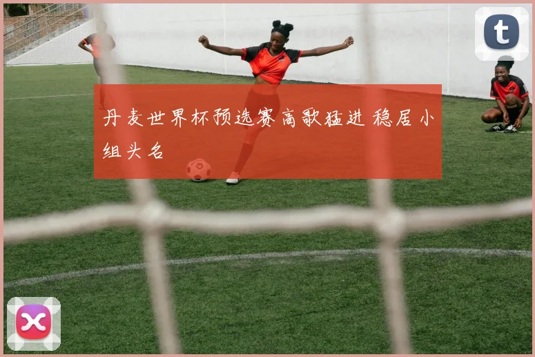 丹麦世界杯预选赛高歌猛进 稳居小组头名