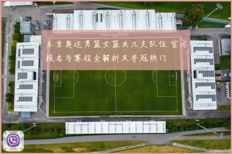 东京奥运男篮女篮共几支队伍 官方报名与赛程全解析及夺冠热门