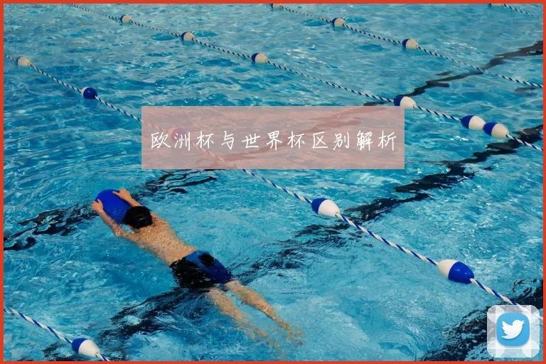 欧洲杯与世界杯区别解析