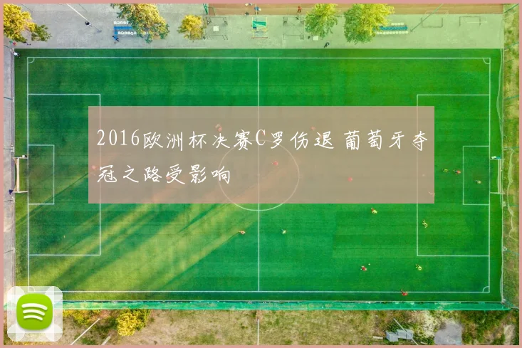 2016欧洲杯决赛C罗伤退 葡萄牙夺冠之路受影响